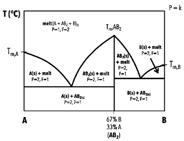 <p>There are two eutectic points where below this point, there is the congruently melting compound (AB<sub>2(s)</sub>→AB<sub>2(l)</sub>).</p>