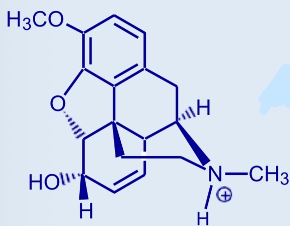 <p>Riconosci la molecola:</p>