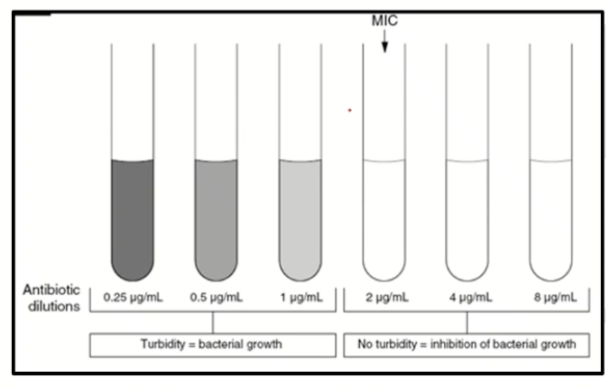 <ul><li><p>Dilute ABX across a bunch of tubes</p></li><li><p>Add same amount of bacteria to each one</p></li><li><p>See what dilution the bacteria doesn’t grow </p></li><li><p>Able to see <strong>minimum concentration inhibiting bacteria</strong></p></li></ul><p></p>