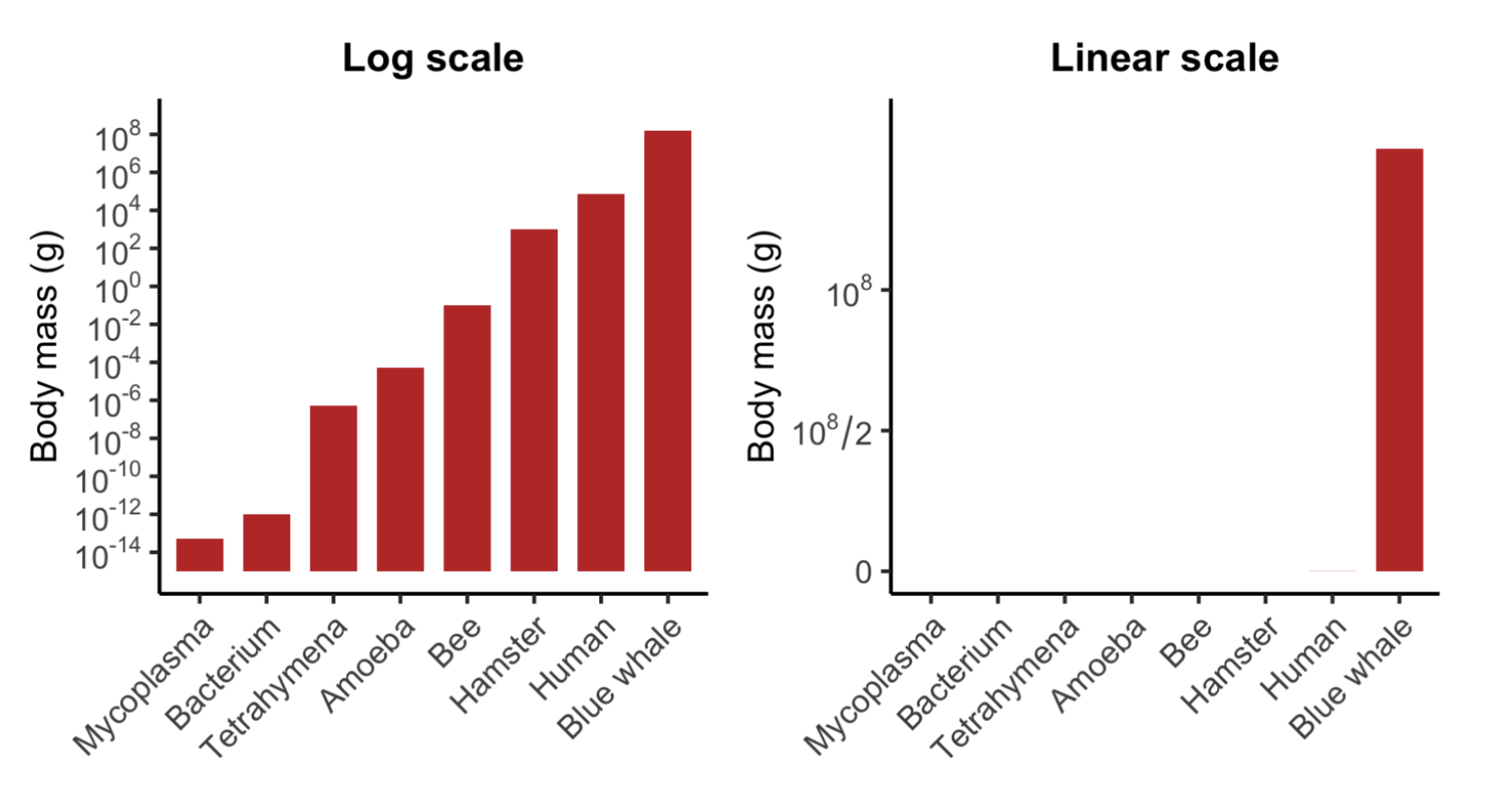 <p>- way of plotting #’s where each step represents a multiplication instead of addition(linear scale)</p><p>EX: 1 → 10 → 100 → 1000 (multiplying by 10)</p><ul><li><p>graph across large range of sizes, </p></li><li><p>exponential growth</p></li><li><p>compare rates of change</p></li></ul><p></p>