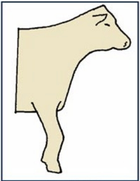 <p>knee angle pushed forward </p>