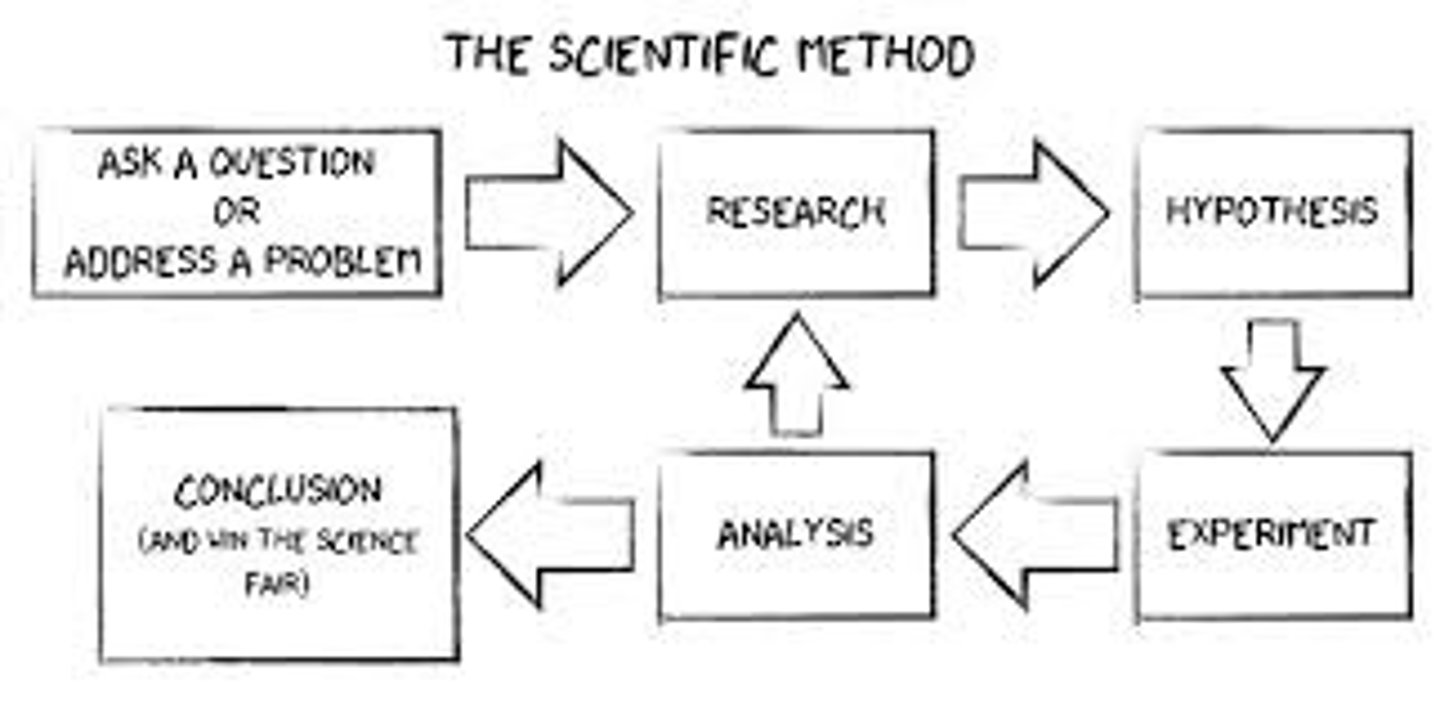 <p>1. Observation 2. Question 3. Hypothesis 4. Experiment 5. Analysis 6. Conclusion</p>