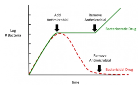 <ul><li><p>Bacteriostatic <br>= inhibits growth </p></li><li><p>Bactericidal <br>= kills bacteria </p></li></ul><p></p>