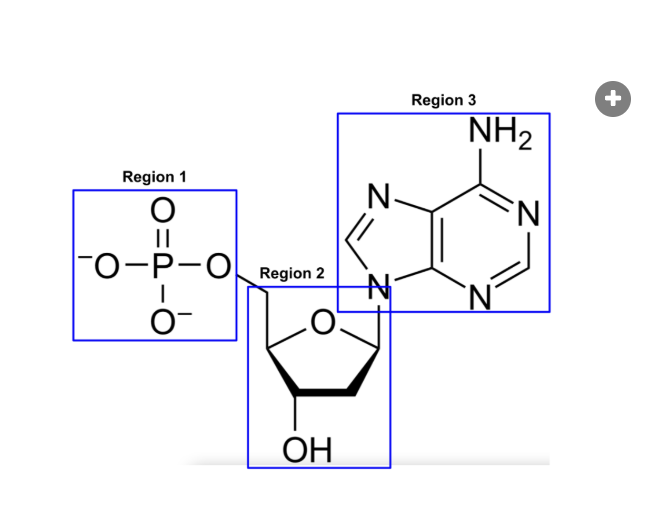 <p>region 3?</p>