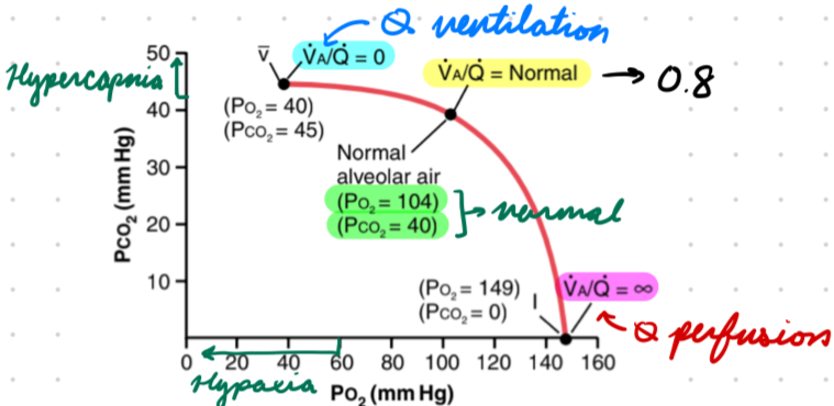 <p>Normal = 0.80</p><p>PO2: 104 mmHg</p><p>PCO2: 40 mmHg</p>
