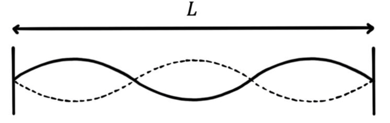 <p>Note: Each image shows one ‘L’</p>