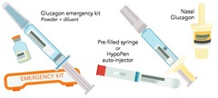 <p>To elevate blood glucose levels in cases of severe hypoglycemia.</p>