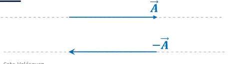 <p>vectores opuestos </p>