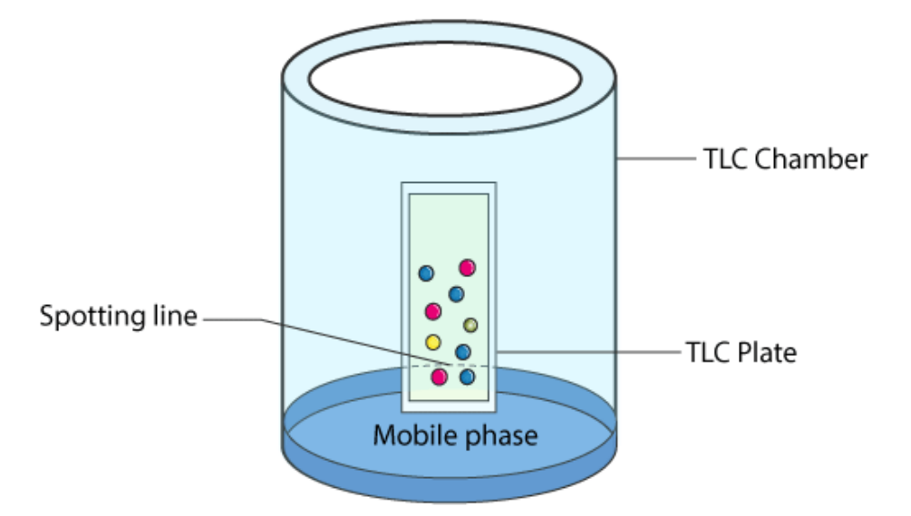 Chromatography experiment similar to paper chromatography but is designed to separate molecules faster. It is commonly used in labs to clearly distinguish every different part of the mixture in question.