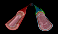 <p>What structure is this?</p>