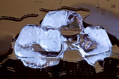 <p>tan chảy</p>