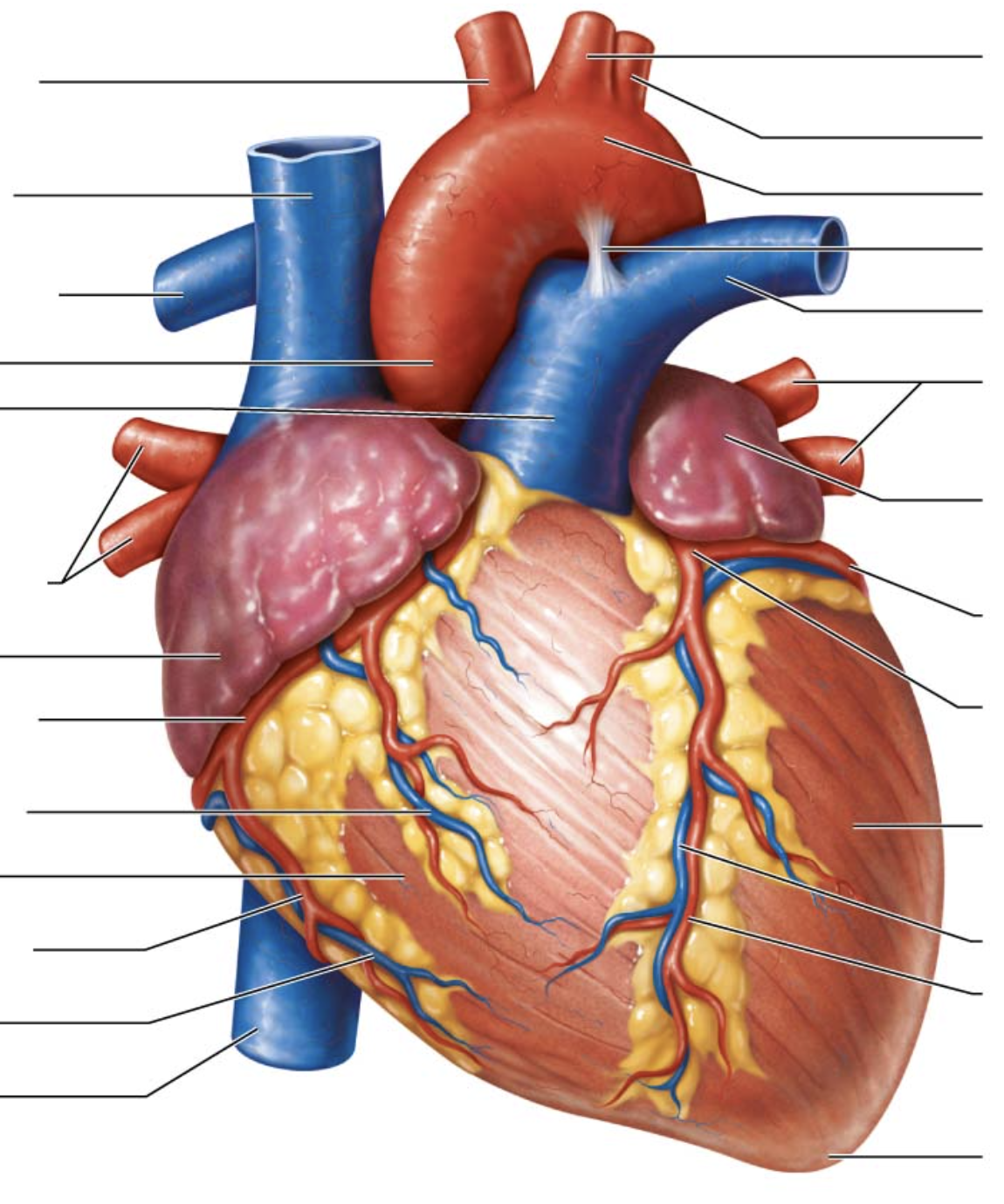 <p>eighth arrow on right</p>