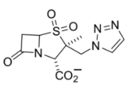<p>Lactamase inhibitor (irreversible) </p>