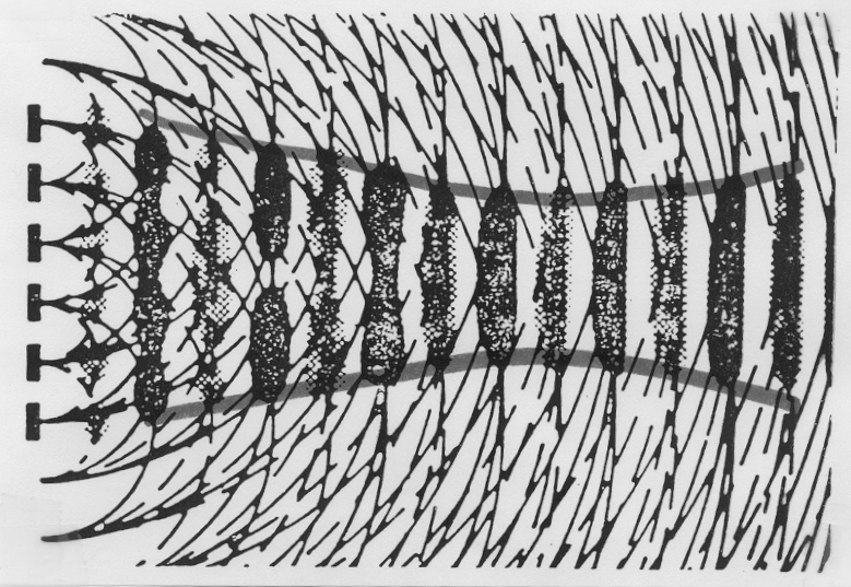 <p>What principle is this ?</p>