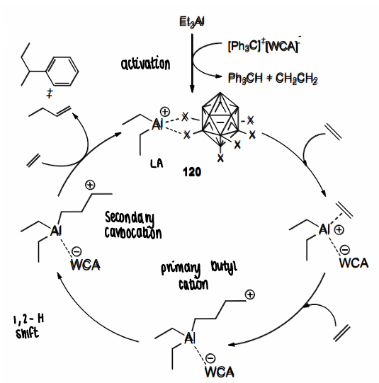<p>They are able to catalyse ethylene oligomerisation.</p>