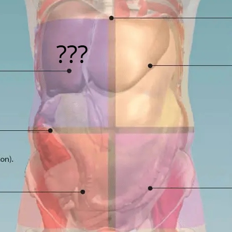 <p>What body quadrant ???</p>