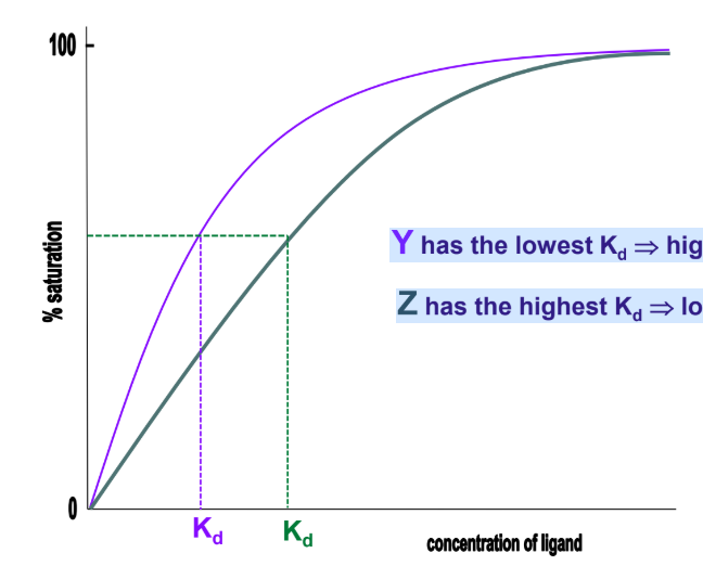 <p>Y has the lowest Kd → highest affinity</p><p>Z has the highest Kd → lowest affinity</p><ul><li><p>lower affinity and higher Kd shifted to the right</p></li></ul><p></p>