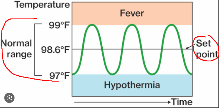 <ul><li><p>Deviation outside of normal range with no return</p></li></ul><p>—</p><p>Every time there’s a deviation from the set point homeostasis brings it back.</p><p>—</p><p>If the deviation is extreme and goes outside the normal range and homeostasis doesn’t stabilize it, that’s an indication of illness, it means homeostasis has <strong>failed</strong> to correct the deviation.</p>