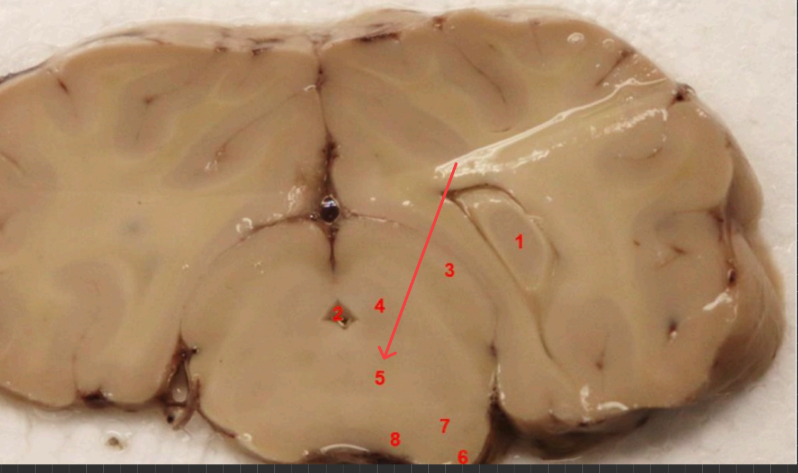 <p>what is this </p>