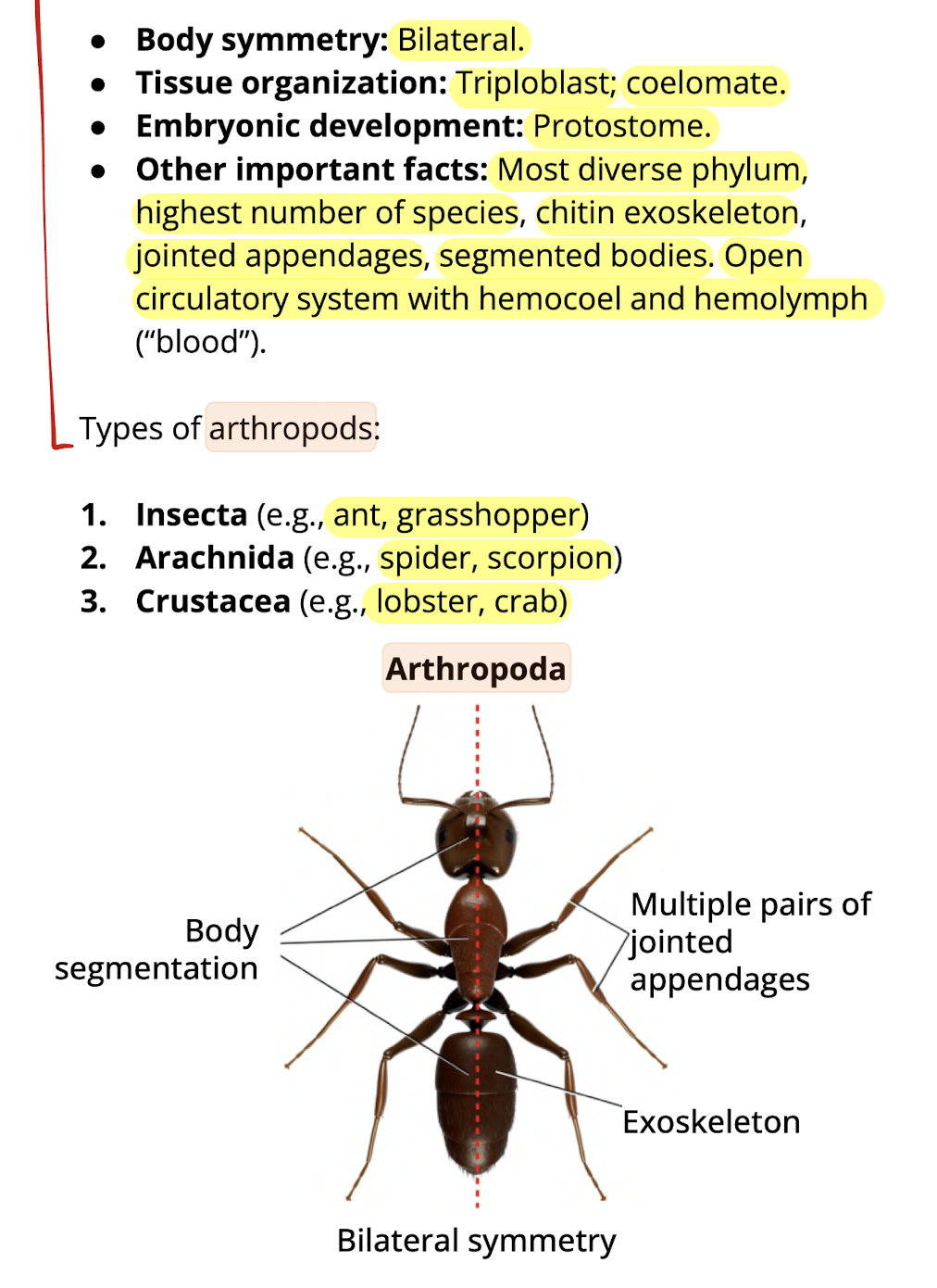 knowt flashcard image