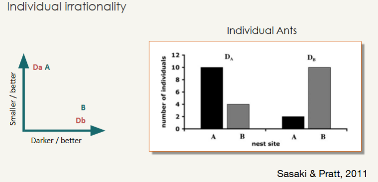<p><span>The <strong>attraction effect</strong> is a cognitive bias where people tend to have a preference for a certain option when it is presented alongside a similar but less attractive alternative. This bias occurs because the presence of the less attractive alternative makes the preferred option appear even more attractive in comparison.</span></p><ul><li><p>this is true even in slime mould with no nervous system (e.g. food source in bright light/no light, you can bias where it goes with a decoy option)</p></li><li><p>true also in ants</p></li></ul><p></p>