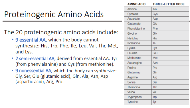 <p>Gly, Ser, Glu (glutamic acid), Gln, Ala, Asn, Asp (aspartic acid), Arg, Pro.</p>