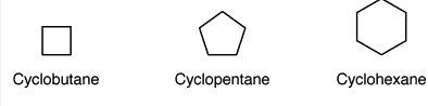 <p>are saturated hydrocarbons whose carbon atoms form a ring (different from aromatic rings who have double bonds).</p>