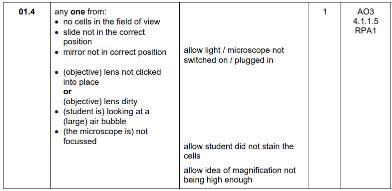 <p>No cells in the field of view</p>