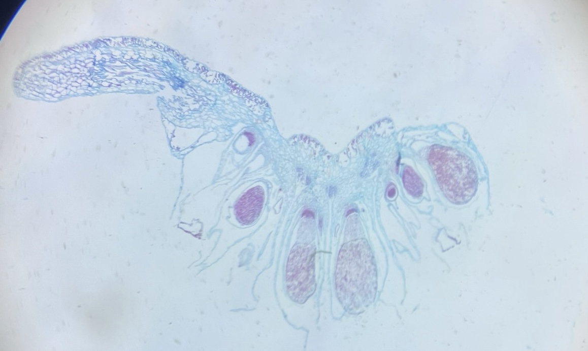 <p>What is this?</p>