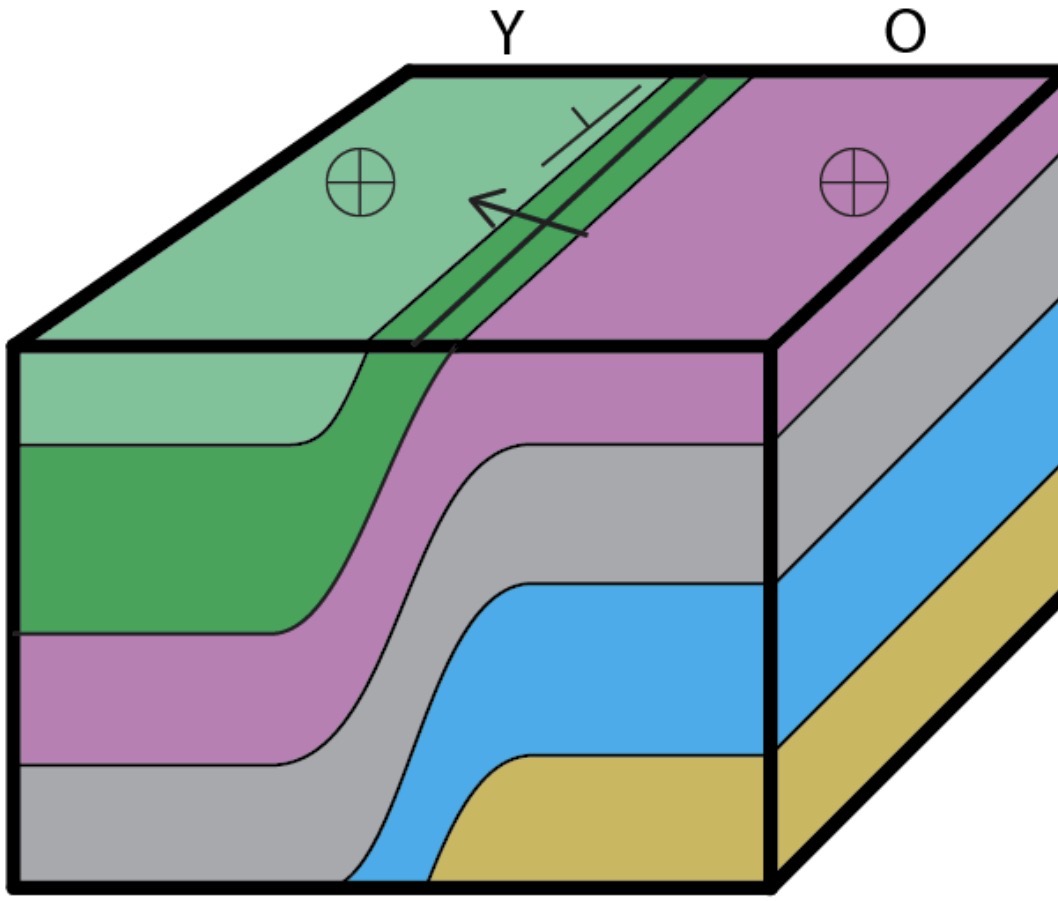 <p>step-like bend in rock layers</p>
