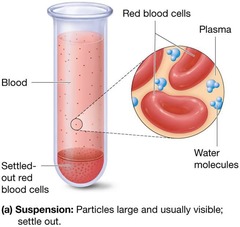 <p>Heterogeneous mixtures that contain large visible solutes that DO settle out</p>