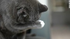<p>vô cùng hối tiếc, nuối tiếc đầy cay đắng</p><p>(We ___ what happened this morning at both Paddington and King's Cross.)</p>