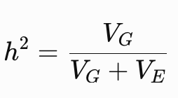 <p>the proportion of observed phenotypic variation among individuals in that population that contributes to genetic variation </p>
