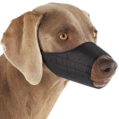 <p>the projecting part of the face, including the nose and mouth, of an animal such as a dog or horse.</p>