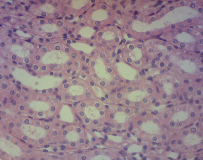 <p>What is this structure?</p>