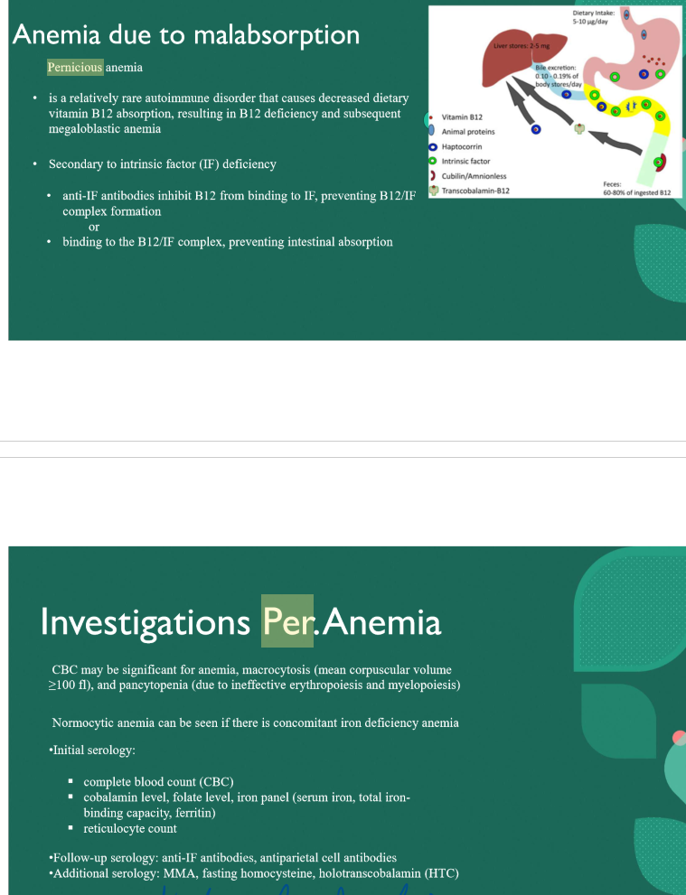 <p>atrophic glossitis </p>