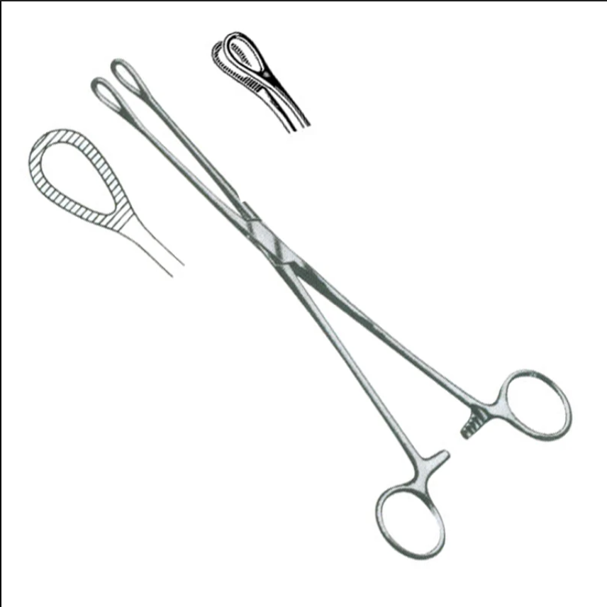 <p>What is this instrument?</p>