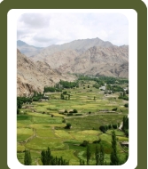 <p>A low area of land between hills or mountains.</p>