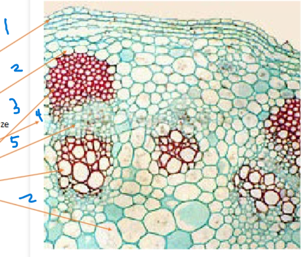 <ol><li><p>Name 1</p></li><li><p>Name 2</p></li></ol><p></p>