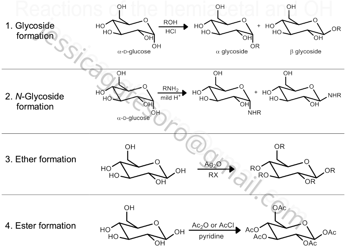 <ol><li><p><strong>Glycoside formation</strong> | Anomeric C OH →&nbsp; OR&nbsp;α + β<span style="color: rgb(149, 10, 10);"> (HCl)&nbsp;</span></p></li><li><p><strong>N-Glycoside formation</strong> |&nbsp;Anomeric C OH → NHR&nbsp;α + β <span style="color: rgb(109, 6, 6);">(mild H)</span></p></li><li><p><strong>Ether formation</strong> | all OH → OR <span style="color: rgb(118, 3, 3);">(Ag2O RX)</span></p></li><li><p><strong>Ester formation</strong> | all OH → OAc <span style="color: rgb(118, 3, 3);">(Ac2O or AcCl, pyr)</span></p></li></ol><p>1,2 mild formation</p><p>3,4 strong formation</p>