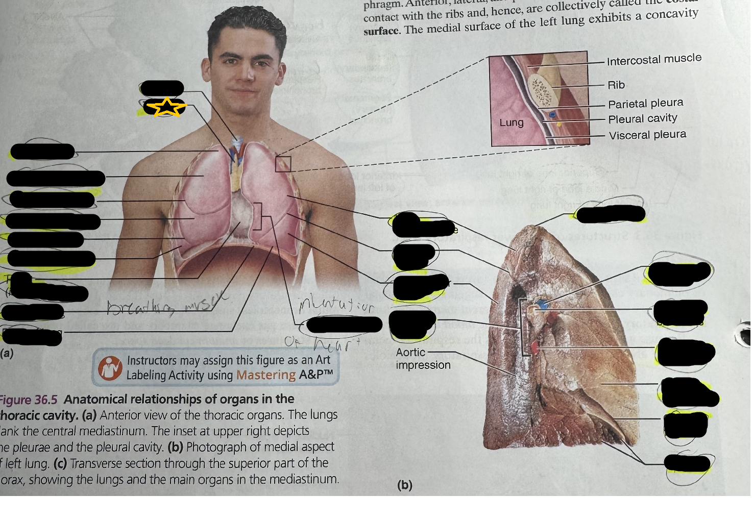 term image