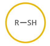 <p>(-thiol), sulfur-based, ex. methanethiol</p>
