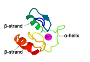 <p>what is this secondary motif?</p>