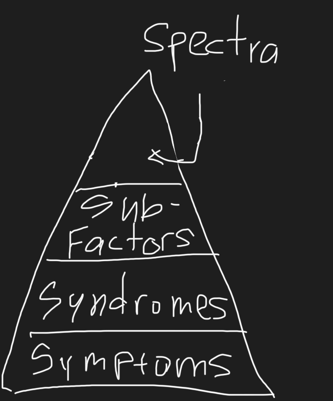 <p>What is HiTOP?</p>