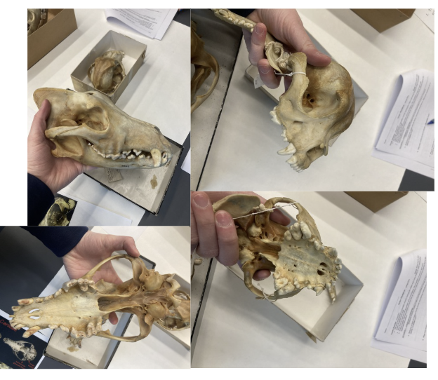 <p>What is this?</p>