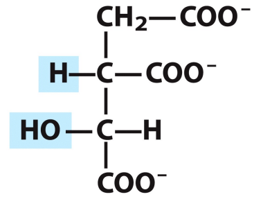 <p>What is this structure?</p>