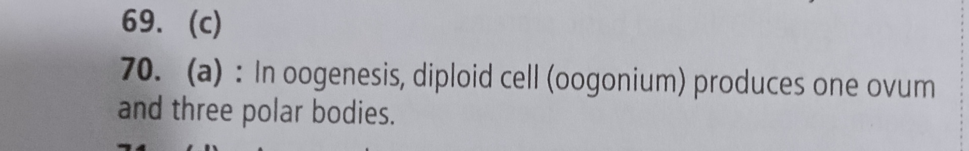 <p>Considering the 1st polar body produced as a result of Meiosis 1 also divides, we’ll have in total 1 functional egg and 3 polar bodies</p>
