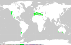 <p>Location - west coastal regions</p><p>Precipitation- 8-40in annually</p><p>Temperature- hot, dry summer, and mild winter</p><p>Soil - shallow, nutrient-poor, mildly acidic</p>