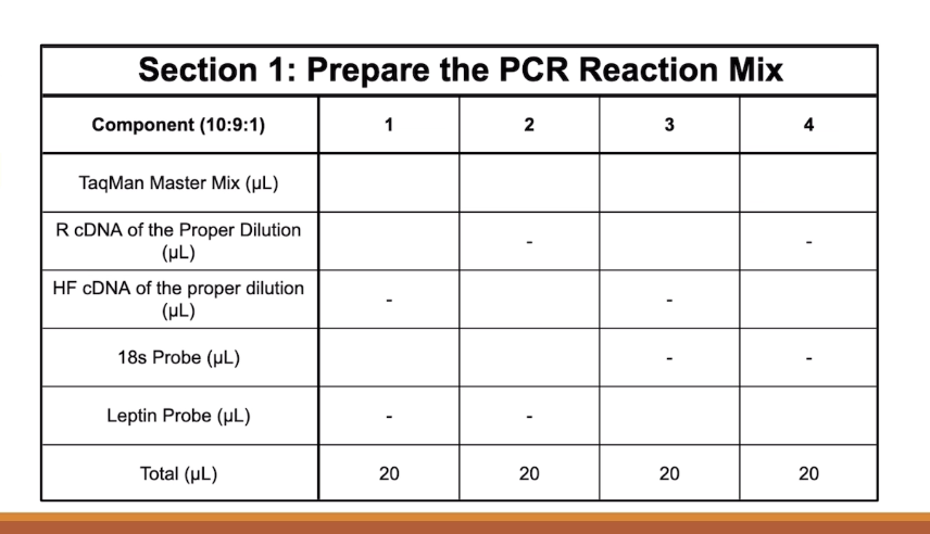 <p>How do you fill the blanks of this table?</p>