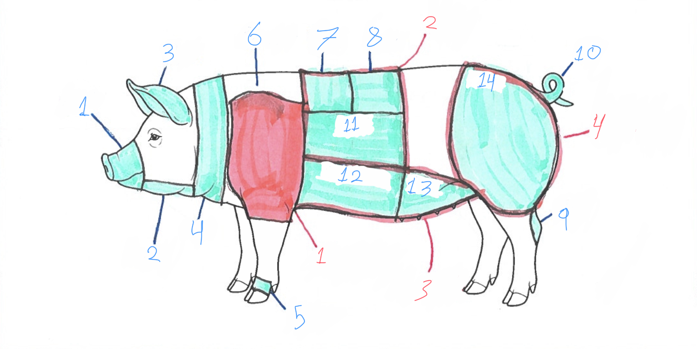 <p>Identify B14</p>